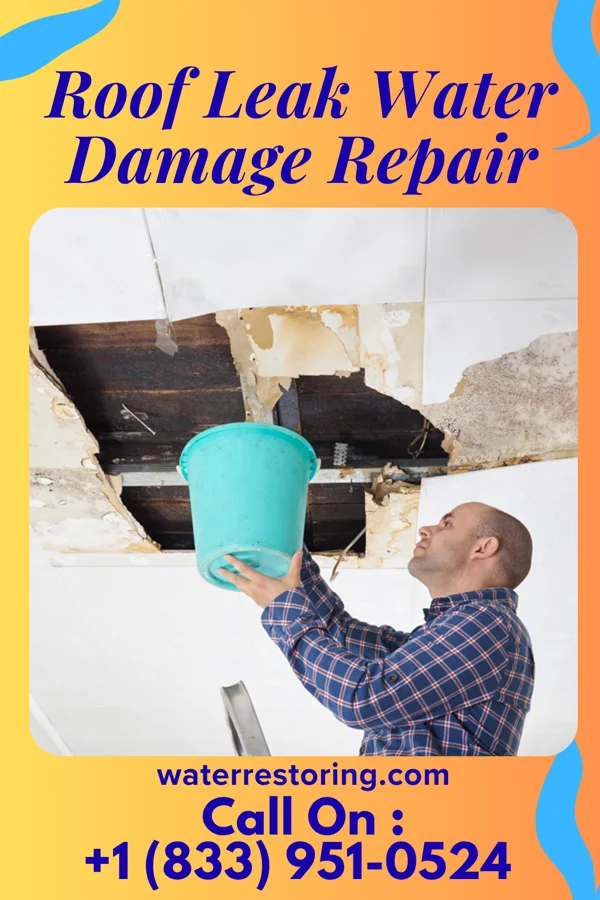 Roof Leak Water Damage Repair in Eldridge, AL